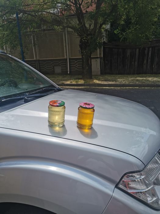 Miere de Albine Naturala 25 lei/kg