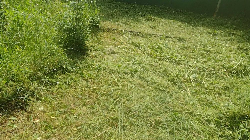 Косене на трева, рязане на дървета и храсти, почистване на дворове.