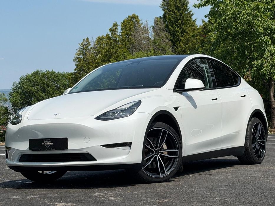 Tesla Model Y Unic Proprietar-Germania-Long Range Dual Motor 4x4