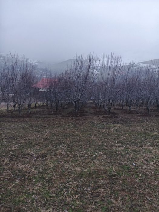 Uy sotladi srochni дом прадаётса срочни