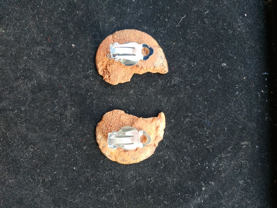 Брошка и обеци от естествени амонити-фосили, произход о. Мадагаскар