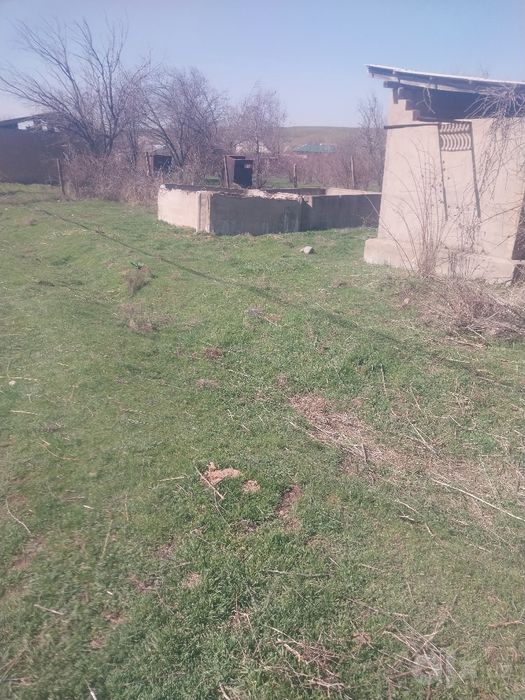 Продаю дачу юкоры чирчик посёлок курсай  6соток земли