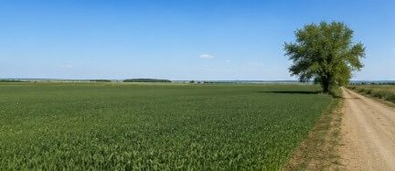 TEREN 15.000 MP LA 10 KM DE CRAIOVA-COMUNA MISCHII
