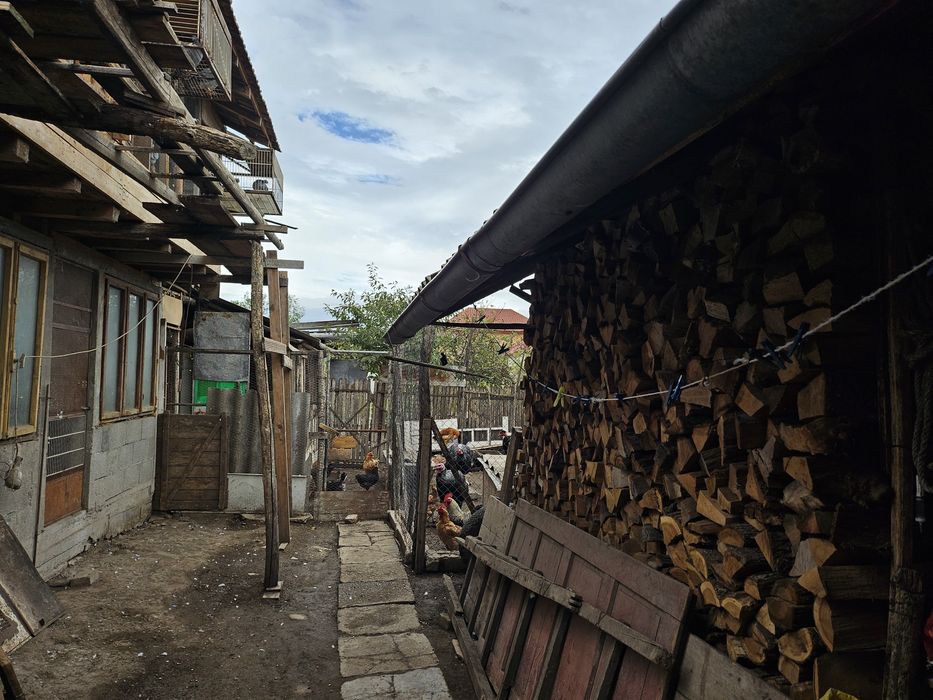 Casă Băilești/preț negociabil