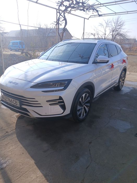 BYD CHEMPION туй маросимлар учун