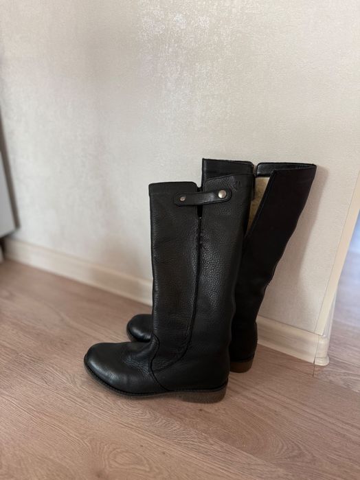 Продам сапоги длинные новые