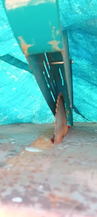 Circular debitare lemn 380 v