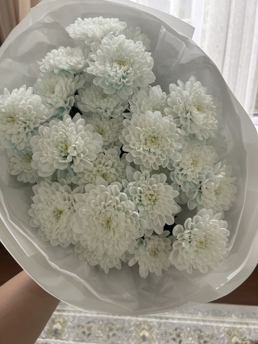 Белые кустовые хризантемы