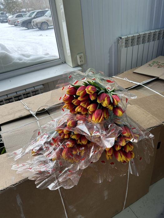 Люксовые Тюльпаны Предзаказ