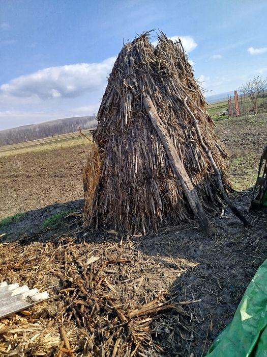 Coceni la snop de vinzare