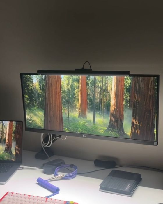 монитор LG UltraWide 29WQ600