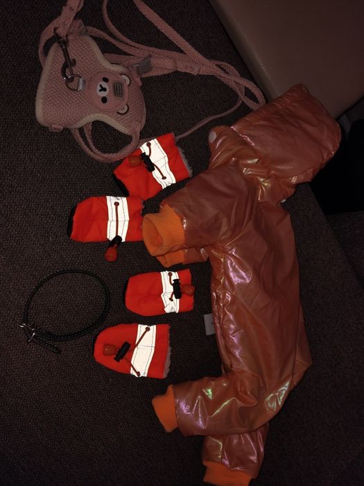 Одежда для маленькой собачки