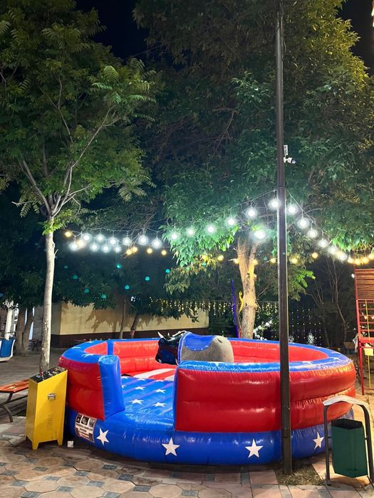 Привой бык бизнес