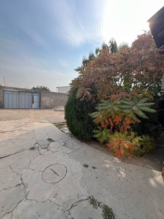 Олим Полвон  Чилонзор тумани 7 сот