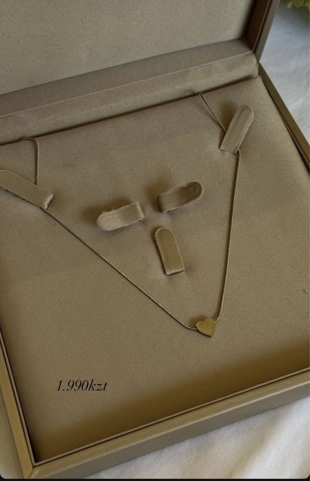 Бюжетерия люкс титан