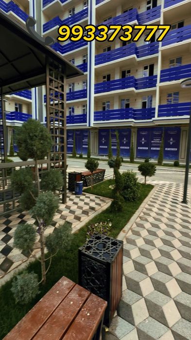 Живой газон биринчи қўл