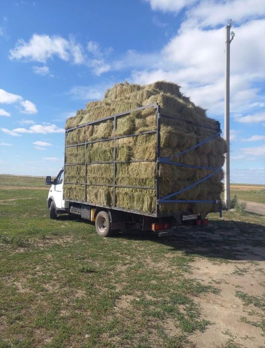 Тюк пресс шоп  сатылады