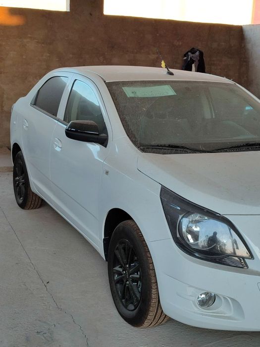 Cobalt midnight tin ozi aldingi 2025