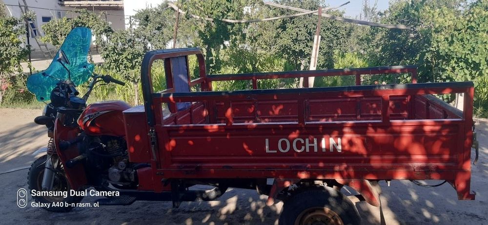 Lochin muravey 200 talik mator