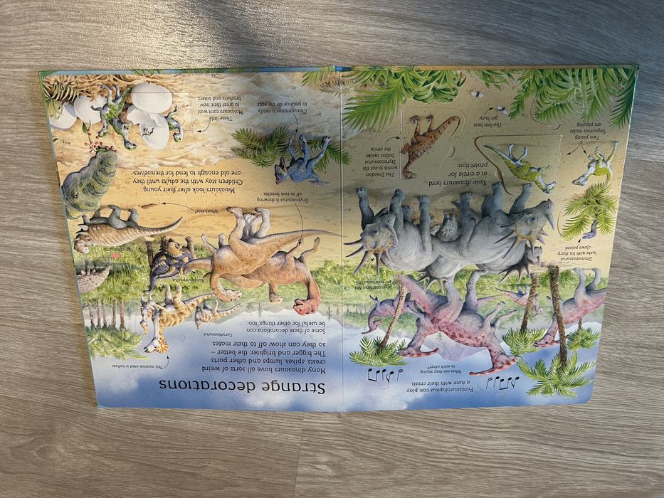 Carte Usborne Dinozauri