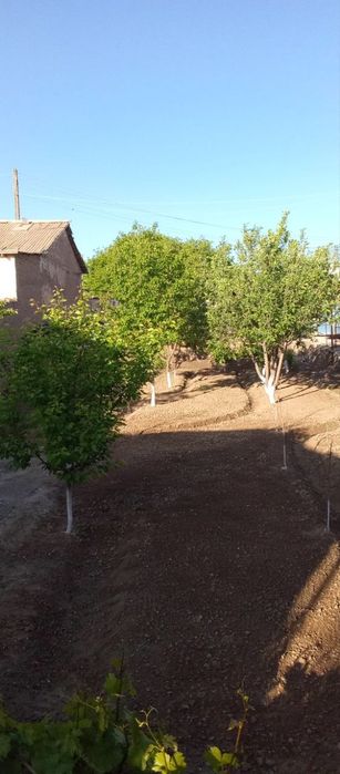 Ховли сотилади. Военный городокда