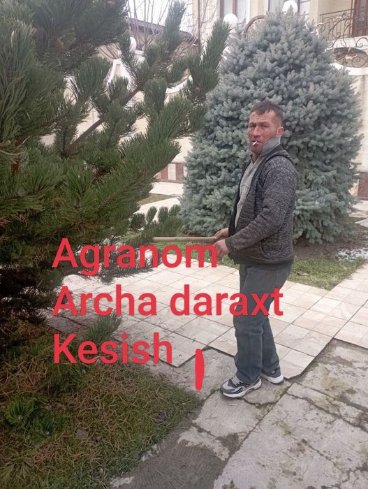 Богбон. Хизмати. Малакали