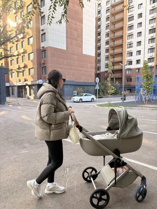 коляска ANEX ELI 2в1