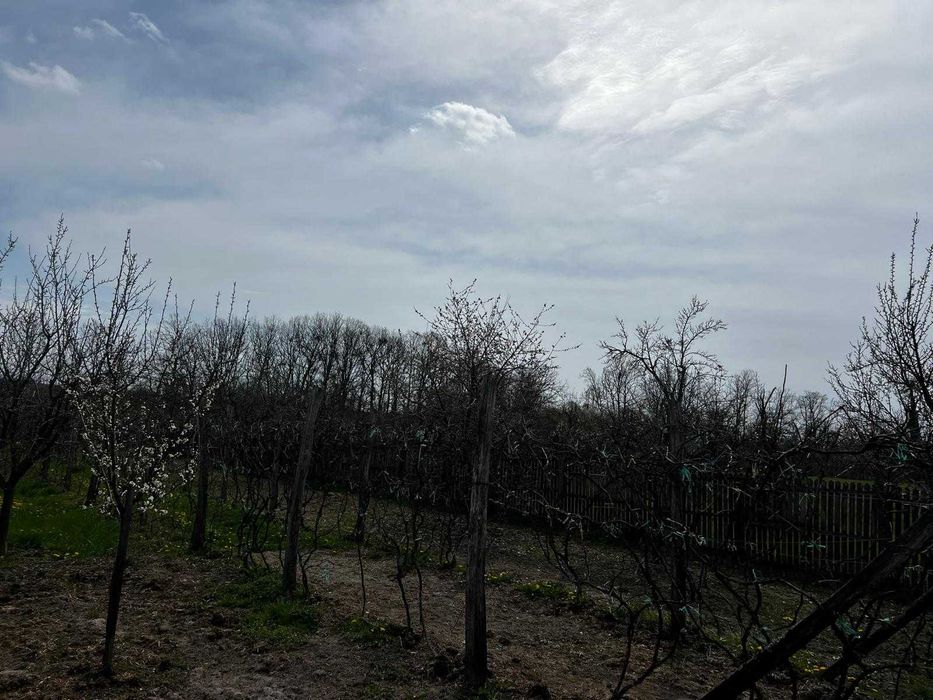 Gospodarie complexa – microferma