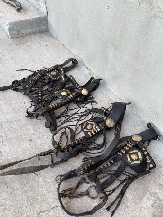 Căpițele / hamuri piele pentru cai + hățuri 2 cai – stare bună