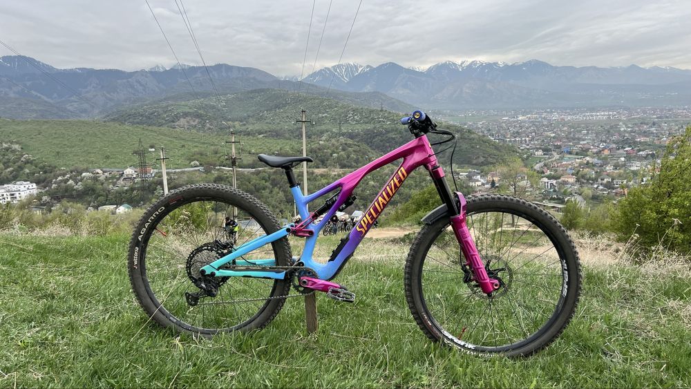 Велосипед Specialized Stumpjumper EVO Custom Carbon S4 (L)