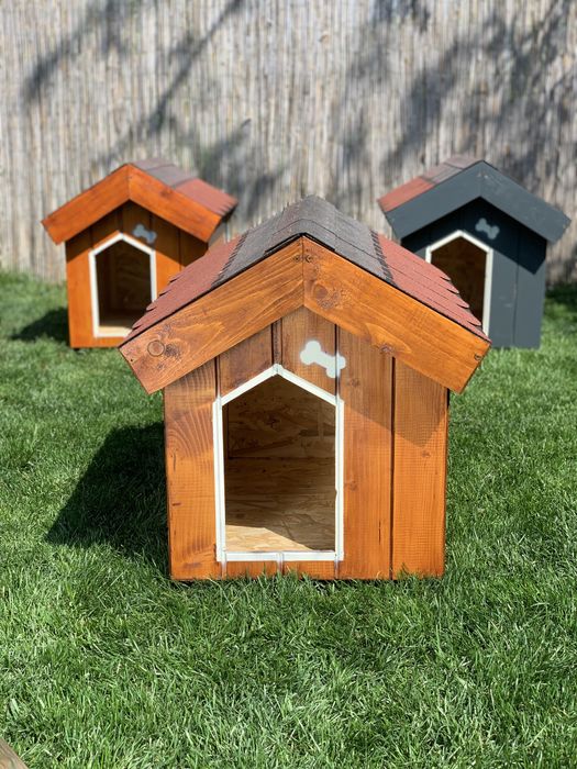 Cusca de caine izolata - calitate garantata