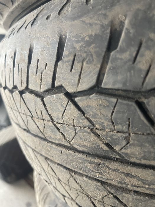 Продам шины летние Dunlop