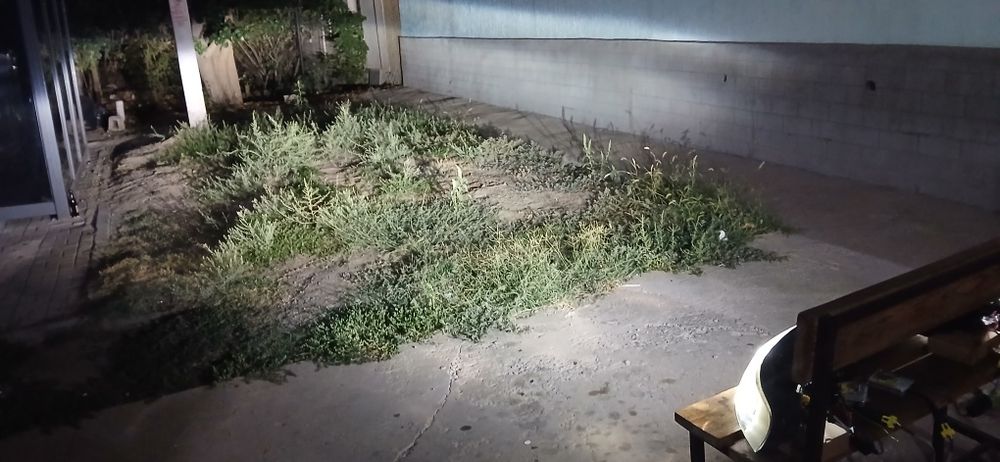Фара Опель вектра б рестайлинг