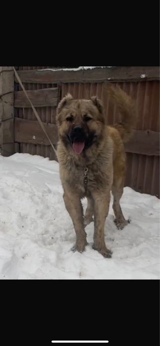 Обмен предлогайте