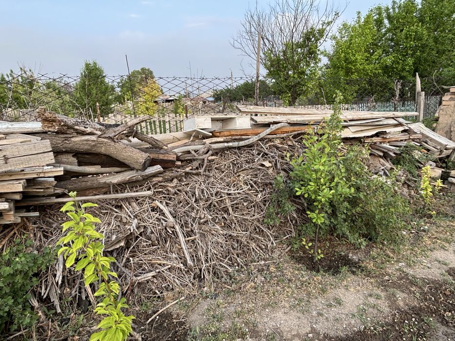 Отын ағаш сатылады