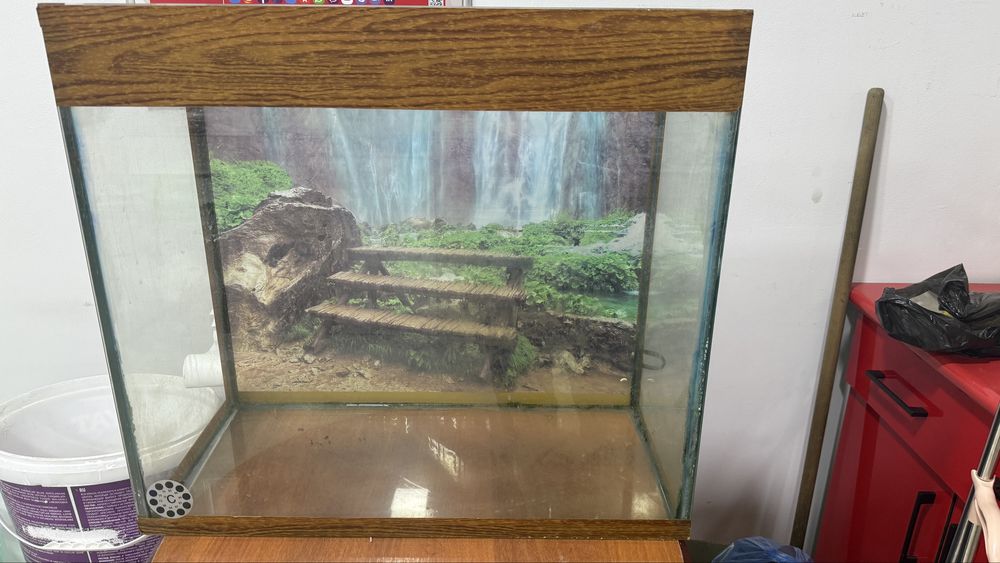 Аквариум бусамарканда