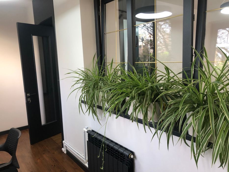 Сдается в аренду офис