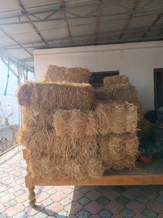 Самон прес сотилади