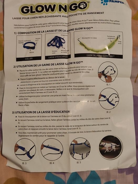 Pachet din 2 lese,din care una fluorescentă pentru noapte +zgardă