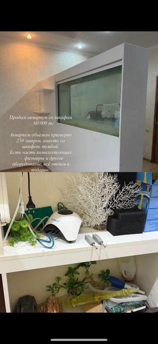 Продается аквариум