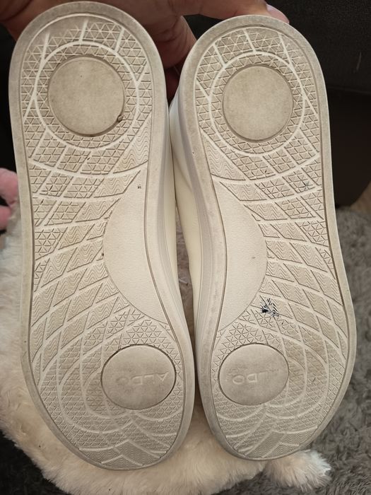 Aldo Cat Sneakers Low