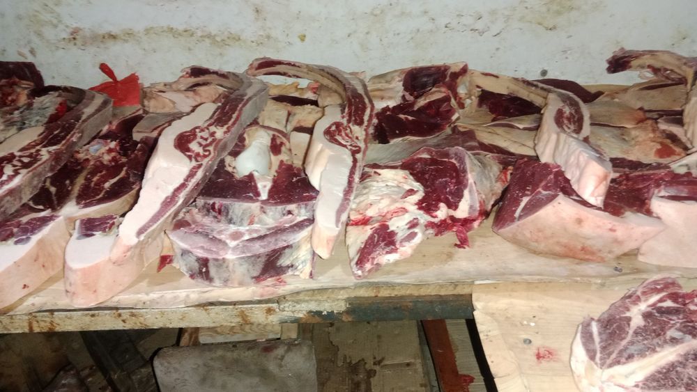 Жылқы еті сатылады.  Бие 5жасар байтал