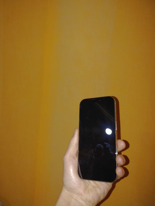 Iphone 16Pro 100%