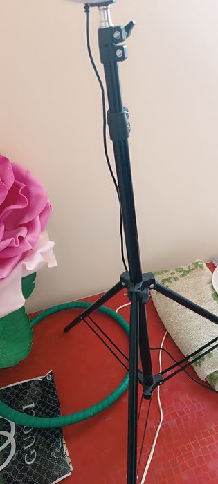 Tik tok lanpa sotladi