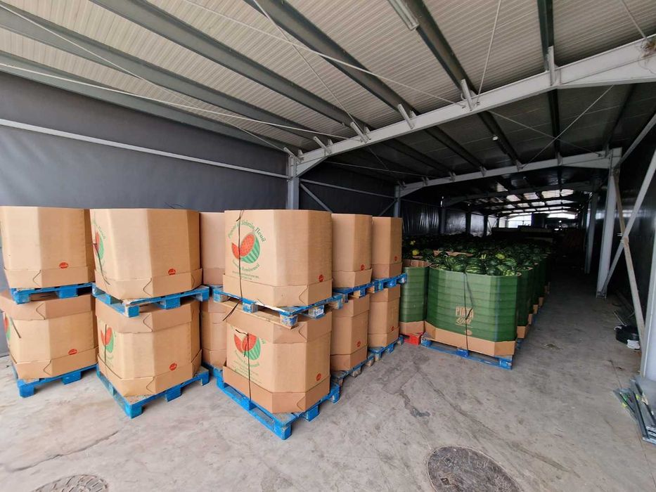 КАШОНИ ЗА ДИНИ ОТ ПРОИЗВОДИТЕЛ от 350 до 700 кг RONDOCARTON SRL