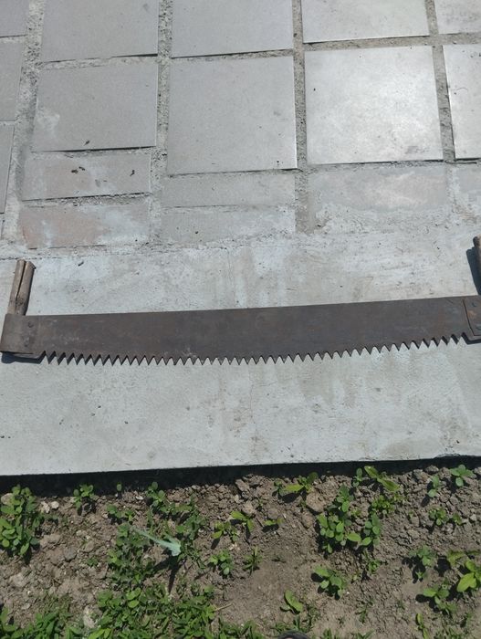 Продам пилу "дружба два"