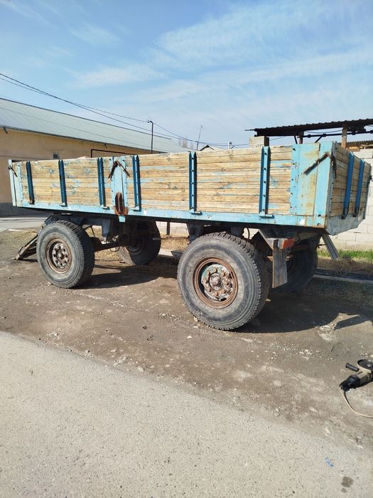 Prsep bartavoy sotiladi.