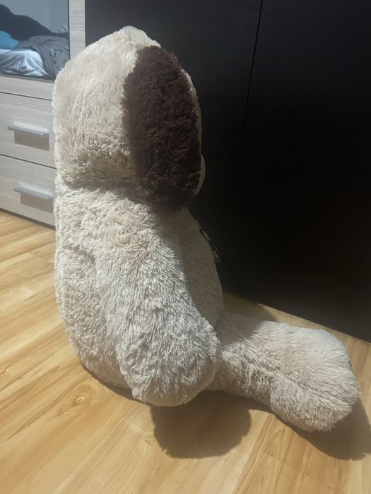 Urs mare plus ca nou