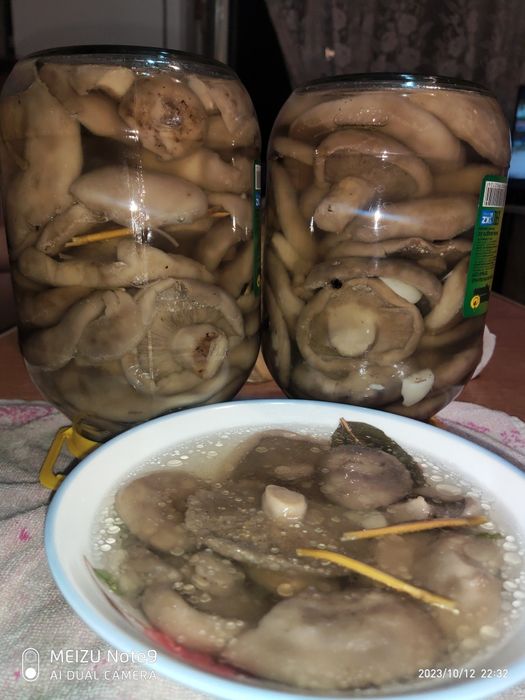 Шампиньоны, вешенки , грибы