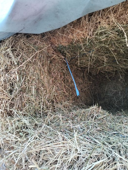 Vând baloți cu lucernă